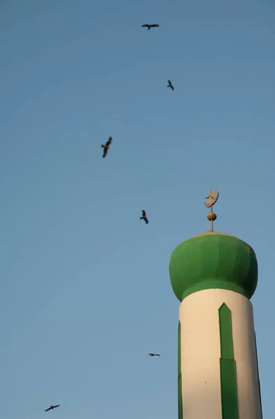 Minaret Mosque Black Kites Milvus Migrans Flight Dakar Senegal — ストック写真