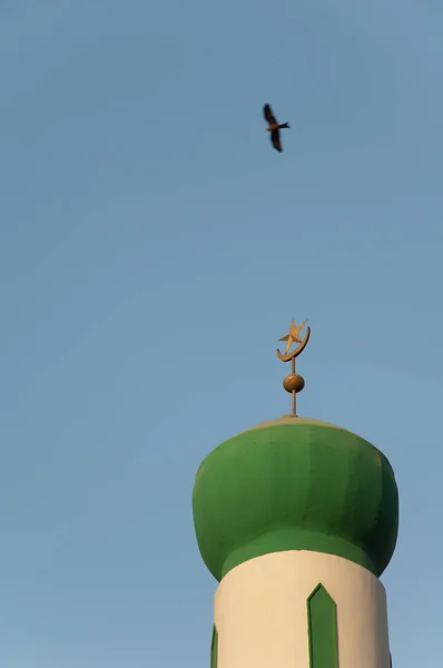 Minaret Mosque Black Kite Milvus Migrans Flight Dakar Senegal — Foto Stock