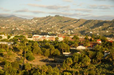 Rural landscape in Santa Brigida. Gran Canaria. Canary Islands. Spain.