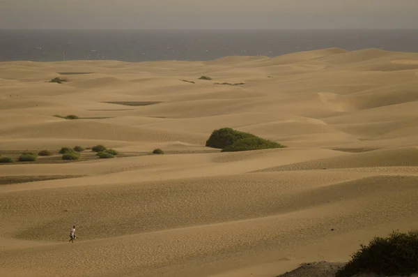 View Maspalomas Dunes Special Natural Reserve Maspalomas Dunes San Bartolome — Stock Photo, Image