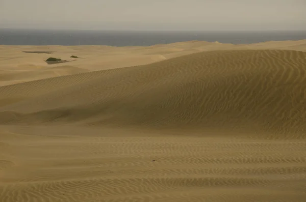 View Maspalomas Dunes Special Natural Reserve Maspalomas Dunes San Bartolome — Stock fotografie