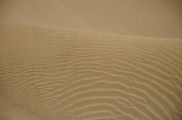 Sand Dunes Special Natural Reserve Maspalomas Dunes San Bartolome Tirajana — Fotografia de Stock