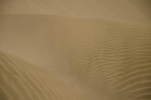 Sand Dunes Special Natural Reserve Maspalomas Dunes San Bartolome Tirajana — Stockfoto