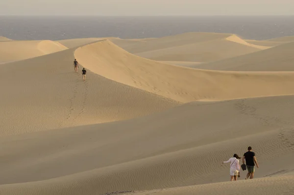 People Walking Maspalomas Dunes Natural Reserve Maspalomas Dunes San Bartolome — Stockfoto