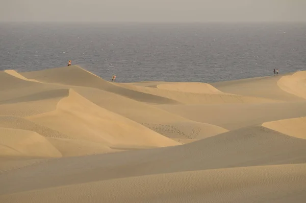 People Sand Dunes Special Natural Reserve Maspalomas Dunes San Bartolome — Stockfoto