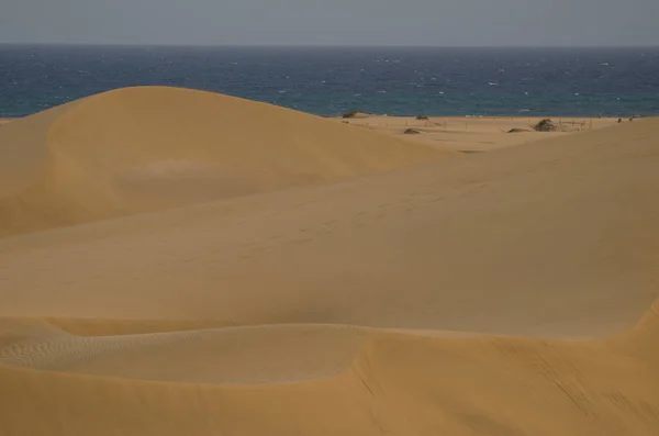 Sand Dunes Atlantic Ocean Special Natural Reserve Maspalomas Dunes San — Stockfoto