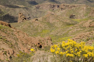 Rough landscape in San Bartolome de Tirajana. Gran Canaria. Canary Islands. Spain.