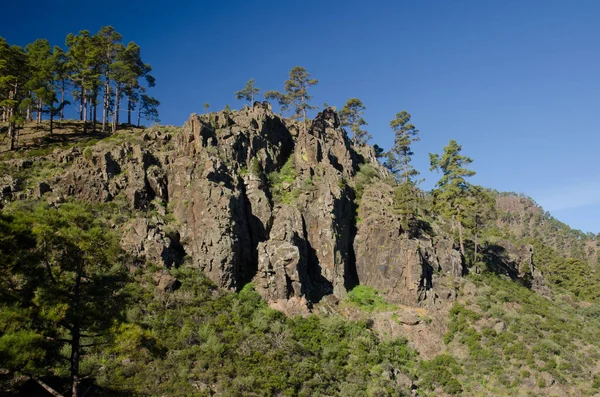 Klipp Integral Naturreservat Inagua Gran Canaria Kanarieöarna Spanien — Stockfoto