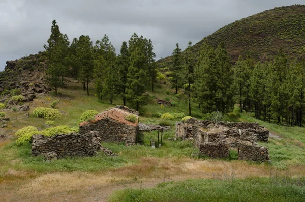 Дома Инагуа Aldea San Nicolas Гран Канария Канарские Острова Испания — стоковое фото