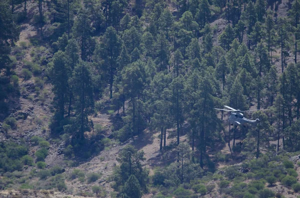 Helikopter Met Twee Mensen Neerdalend Een Kabel Integraal Natuurreservaat Van — Stockfoto