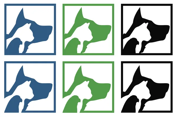 Veteriner kedi ve köpek