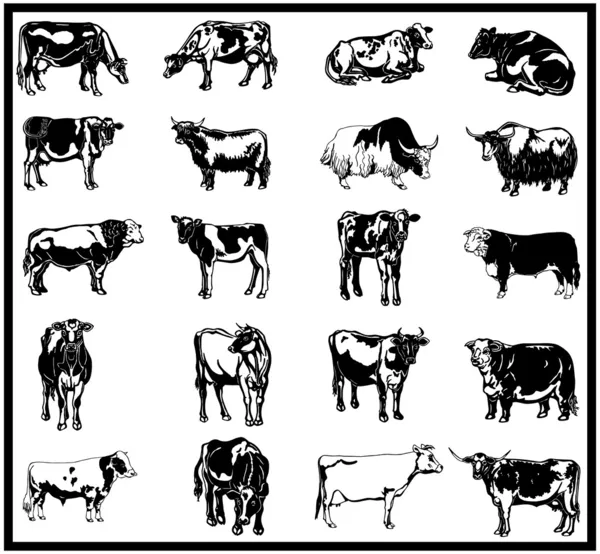 Ensemble de bovins — Image vectorielle