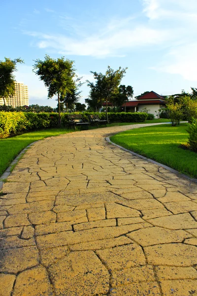 Chemin dans le jardin . — Photo