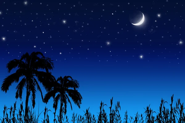 Кокосовое дерево, луна и звезды . — стоковое фото