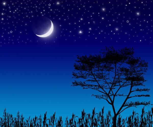 Tree , moon and stars.