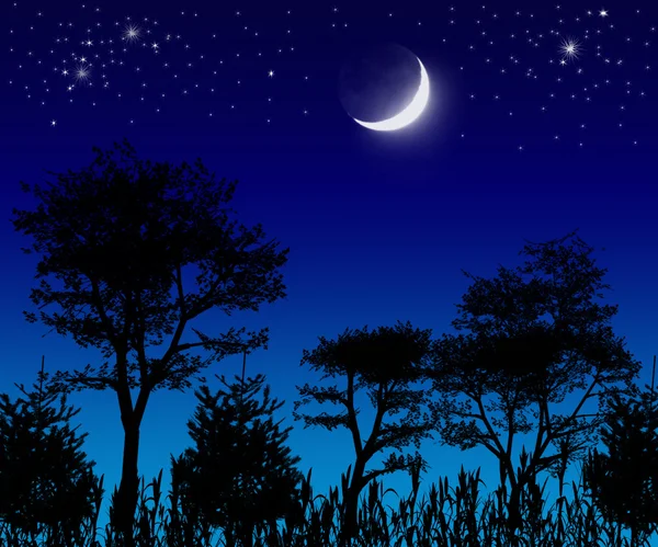 Деревья, луна и звезды . — стоковое фото