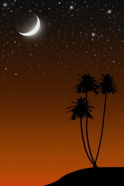 Кокосовое дерево, луна и звезды . — стоковое фото