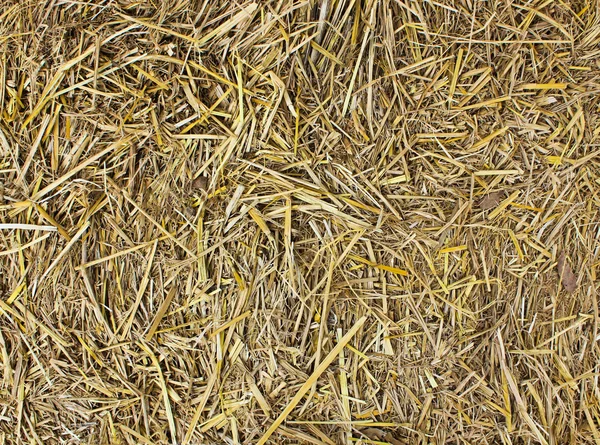 Hay seamless background. — Stock Photo, Image