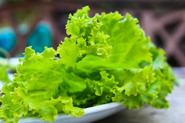 Lettuce on a dish. — Stock Photo, Image