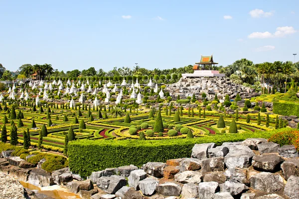 Tropischer Garten in Pattaya, Thailand. — Stockfoto