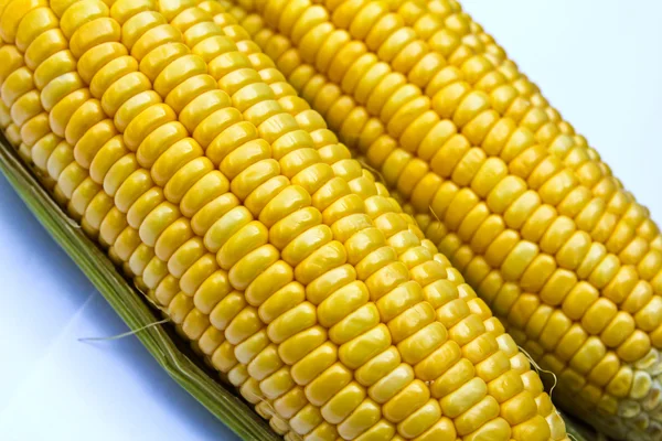 Color brillante maíz dulce . — Foto de Stock