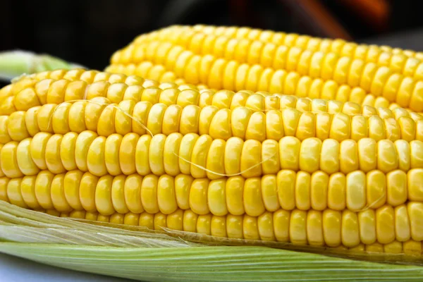 Jasná barva sladká kukuřice. — Stock fotografie