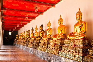 Wat Pho Tapınağındaki Buda sıralı güzel bir şekilde Bangkok, Tayland.