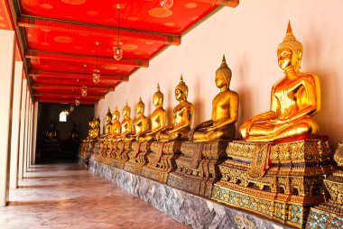 Wat Pho Tapınağındaki Buda sıralı güzel bir şekilde Bangkok, Tayland.