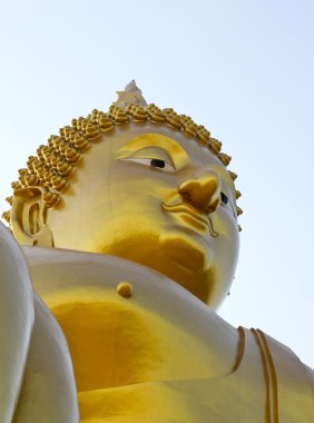 Büyük Buda heykeli Wat Muang, Tayland 'da.