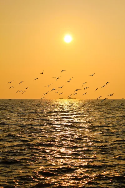Lichtreflexion des Sonnenuntergangs. — Stockfoto