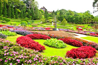 Mae Fah Luang Garden,locate on Doi Tung,Thailand clipart