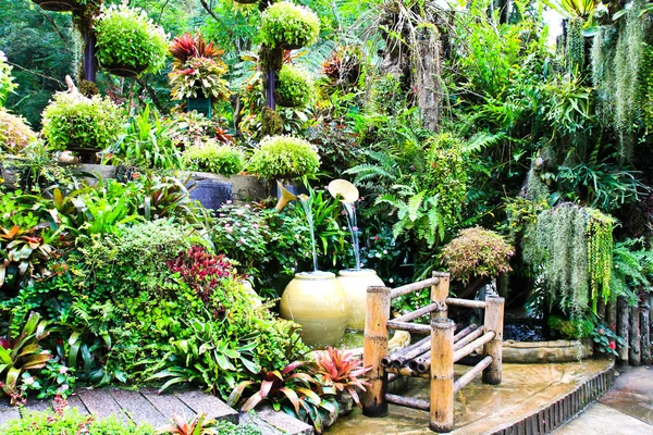 Mae Fah Luang Garden, localizado em Doi Tung, Tailândia — Fotografia de Stock