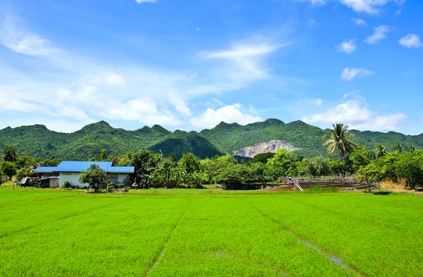 Grass hill and blue sky, Thailand — Stock Photo, Image