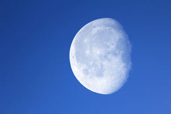 Большая луна в ночном голубом небе . — стоковое фото