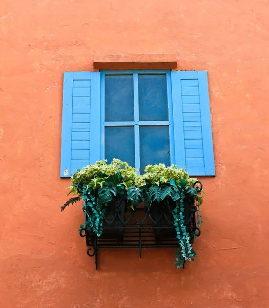 Pencere ve çiçek kutusu — Stok fotoğraf