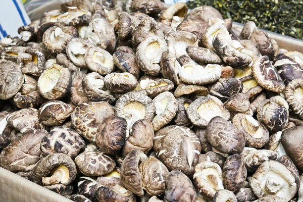 Chinese dried mushrooms — Stock Photo, Image