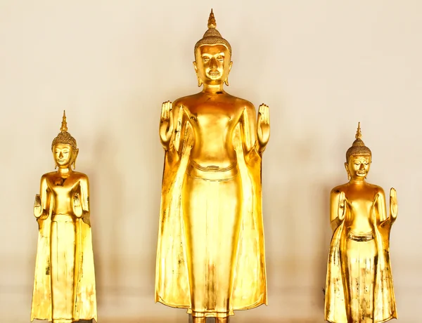 Golden Buddha image in wat pho temple, Bangkok, Tailandia . — Foto de Stock