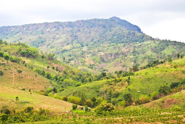 Morning Mist at Tropical Mountain Range, Phetchabun,Thailand — Stock Photo, Image