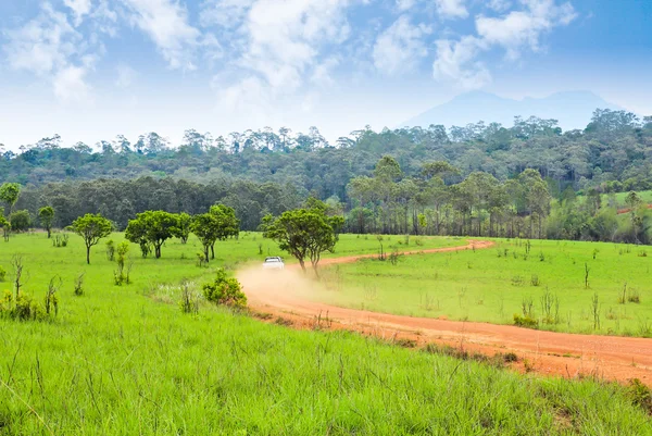 Field of grass ,road and blue sky — Stock Photo, Image