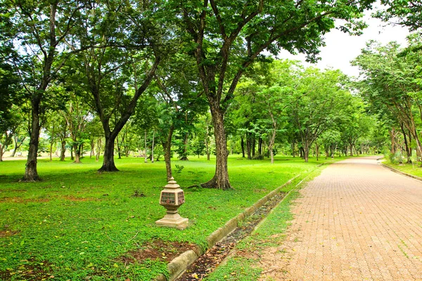 Gångväg i parken — Stockfoto