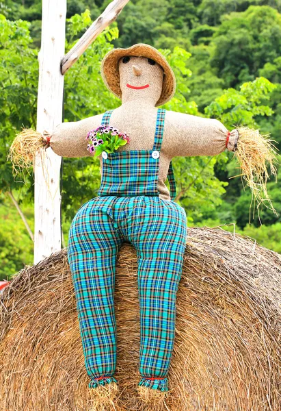 Colorful scarecrow is dressed in clothes at garden — Stock Photo, Image