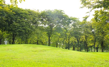 Yeşil Şehir Parkı