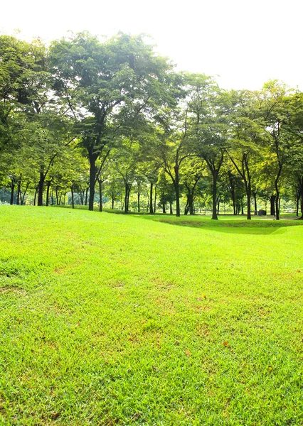 Grön stadspark — Stockfoto