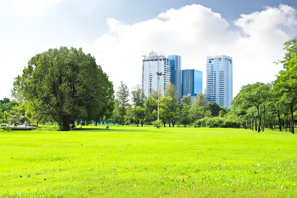 Parco verde della città — Foto Stock