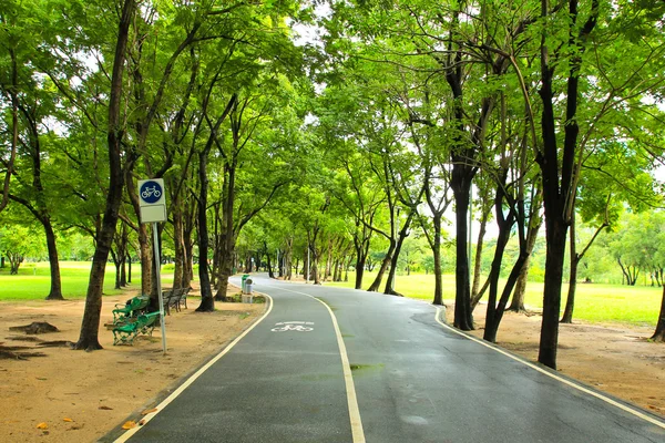 Parque da cidade verde — Fotografia de Stock