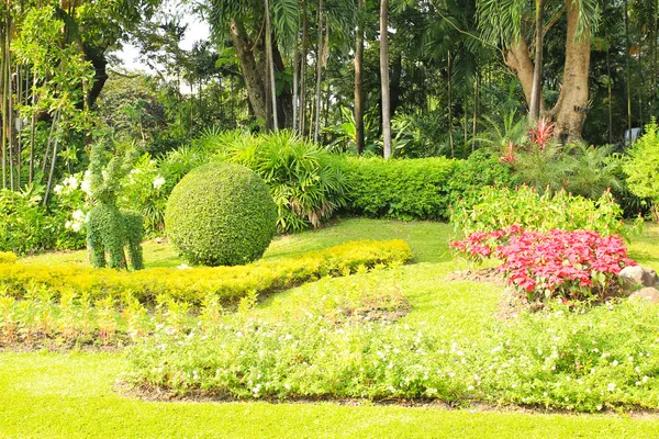 Beautiful garden — Stock Photo, Image