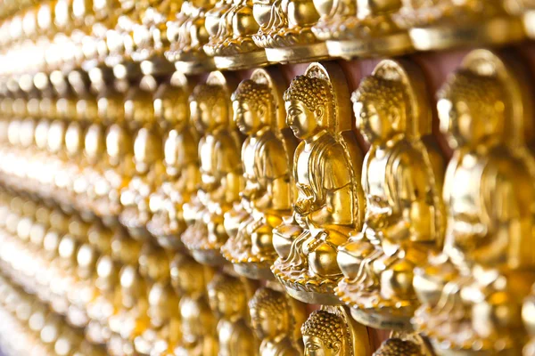Ten Thousand Golden Buddhas lined up along The wall of Chinese T — Stock Photo, Image