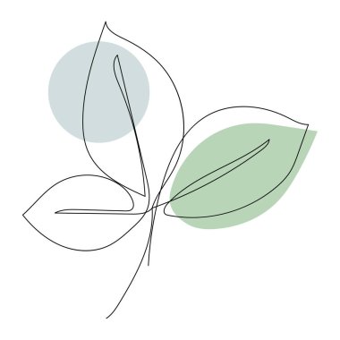Plant leaves line art. Contour drawing. Minimalism art.