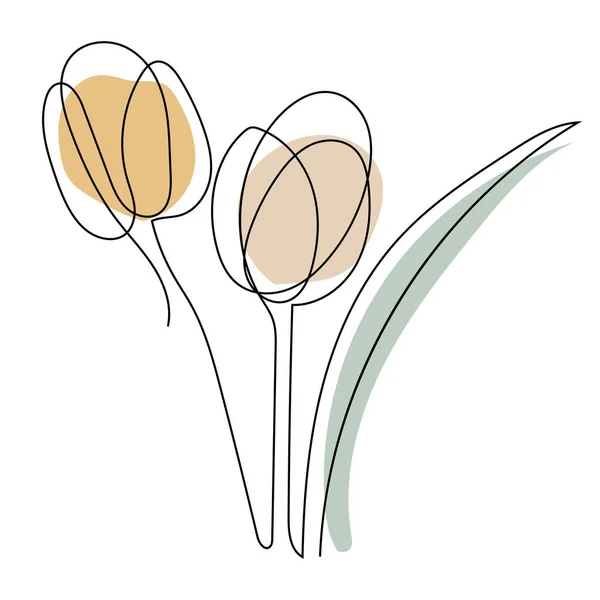 Tulip Flower Line Art Contour Drawing Minimalism Art — Wektor stockowy