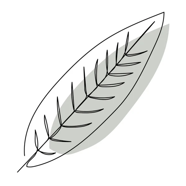 Plant Leaves Line Art Contour Drawing Minimalism Art — Stock vektor